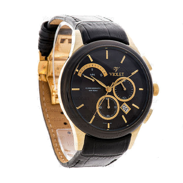 ساعت مچی مردانه برند ویولت مدل 0450/2G