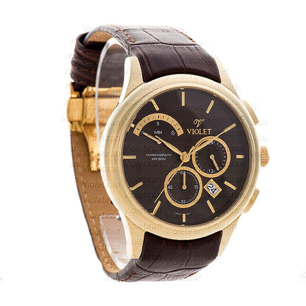 ساعت مچی مردانه برند ویولت مدل 0450/2G
