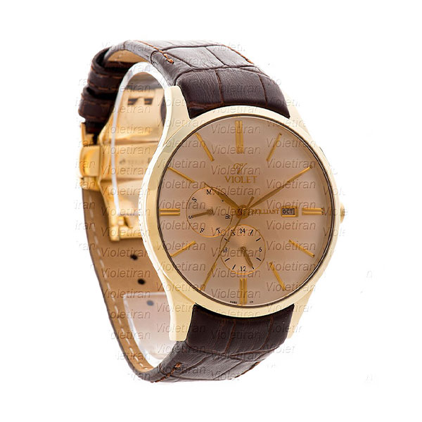 ساعت مچی مردانه برند ویولت مدل 0429/2G