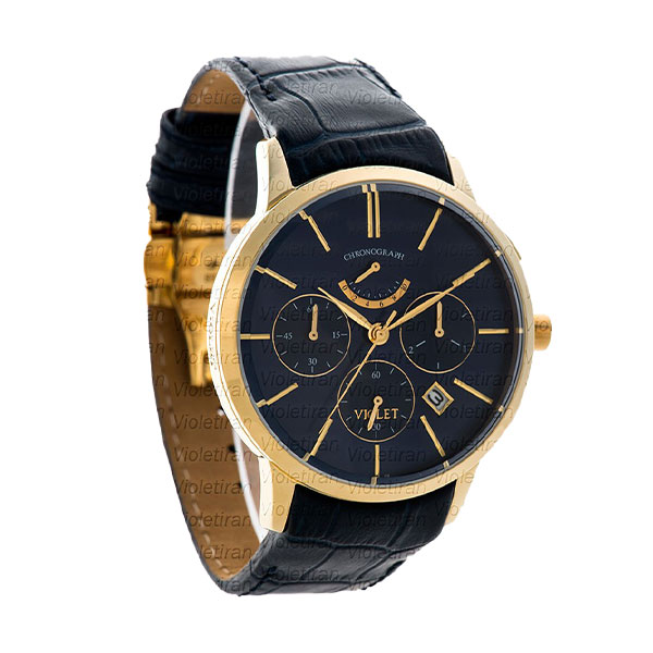 ساعت مچی مردانه برند ویولت مدل 0430/2G