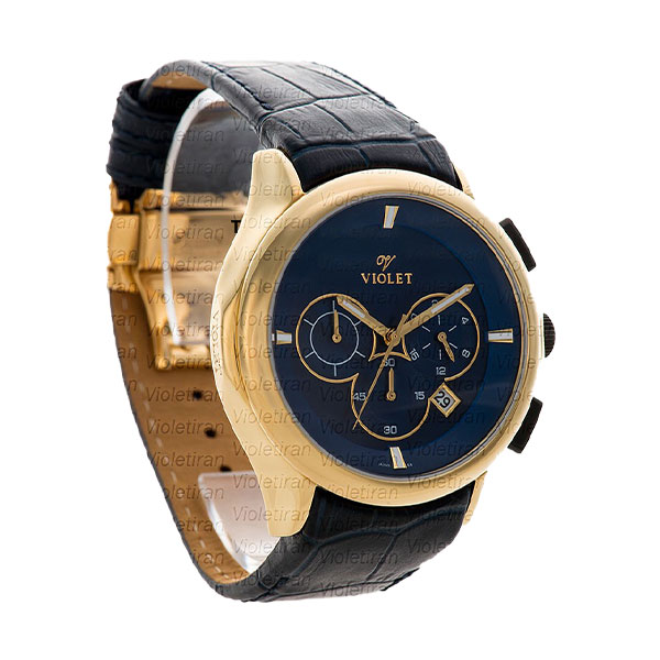 ساعت مچی مردانه برند ویولت مدل 0432/2G