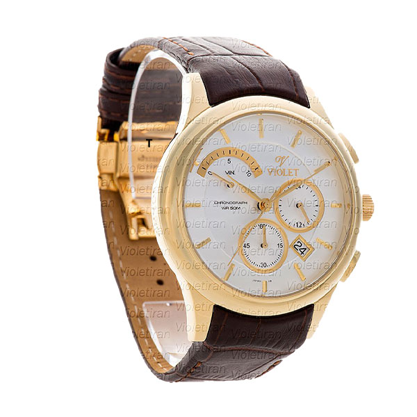 ساعت مچی مردانه برند ویولت مدل 0432/2G