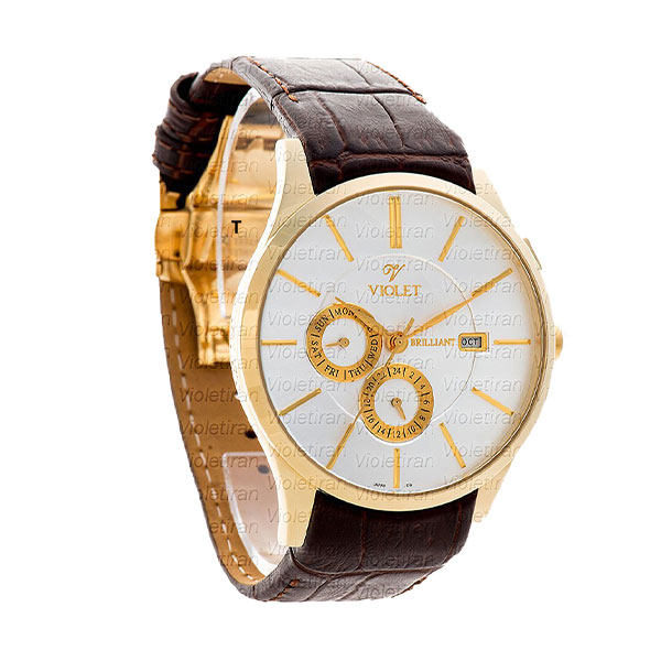 ساعت مچی مردانه برند ویولت مدل 0417/2G