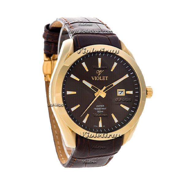 ساعت مچی مردانه برند ویولت مدل 0441/2G