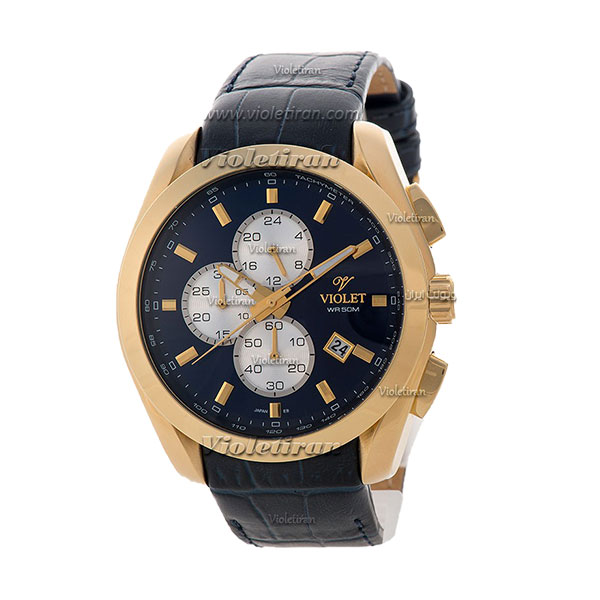 ساعت مچی مردانه برند ویولت مدل 0286/2G