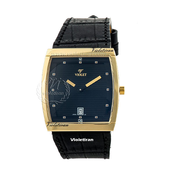 ساعت مچی مردانه برند ویولت مدل 0231/2CG