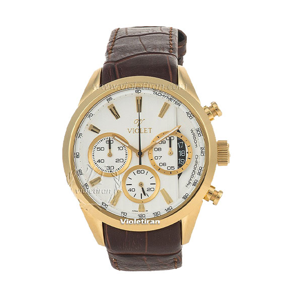 ساعت مچی مردانه برند ویولت مدل 0320/2G