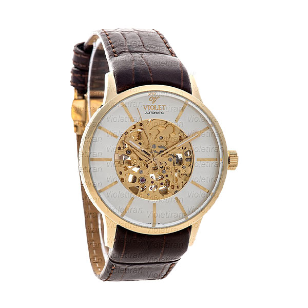 ساعت مچی مردانه برند ویولت مدل 0469/2G