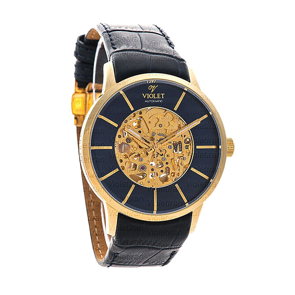 ساعت مچی مردانه برند ویولت مدل 0469/2G
