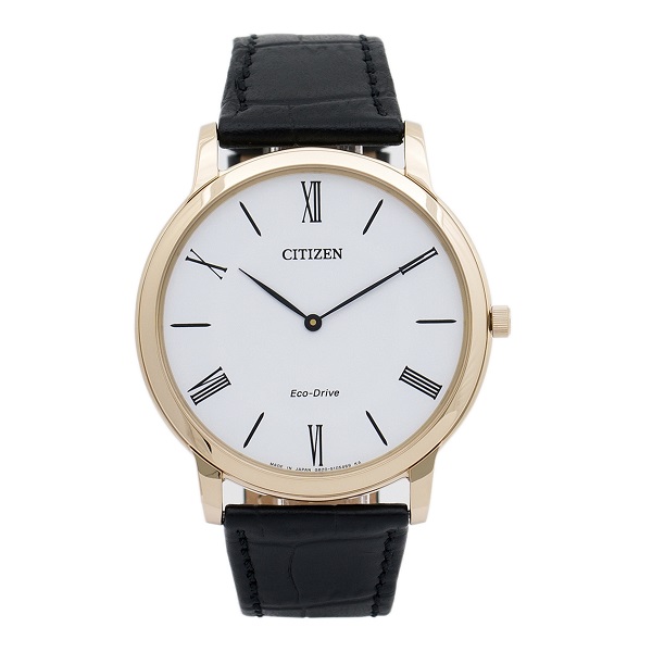 ساعت مچی مردانه برند سیتیزن مدل Ar1113-12b